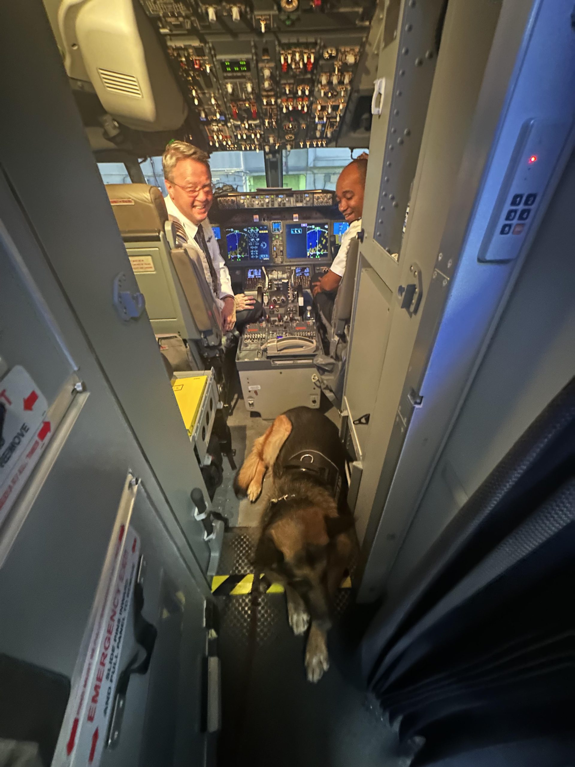 service dog airplane