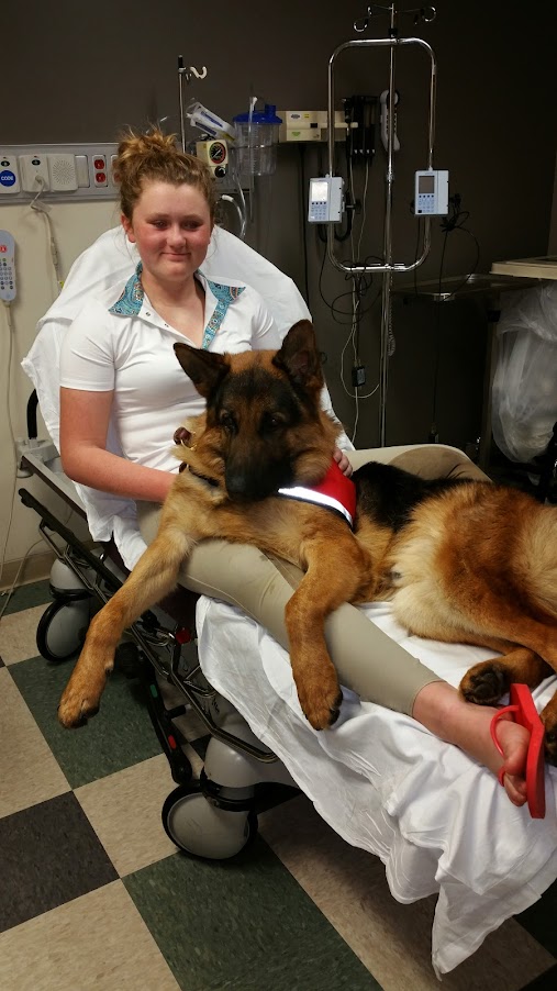 service dog for mobility